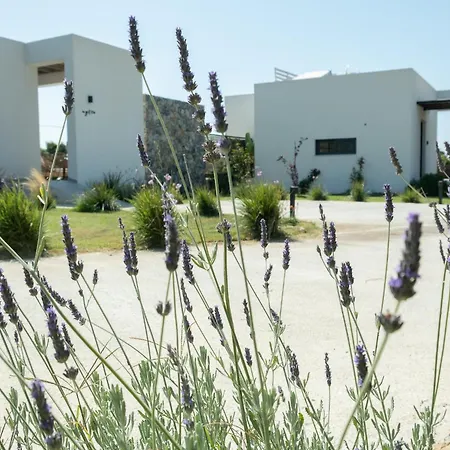 Aphrodite Luxury With Private Heated Pools & Jacuzzis Kos