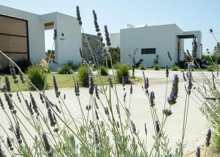 Aphrodite Luxury With Private Heated Pools & Jacuzzis Kos